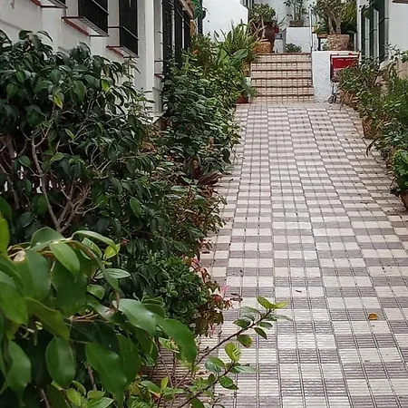 Lägenhet El Patio I